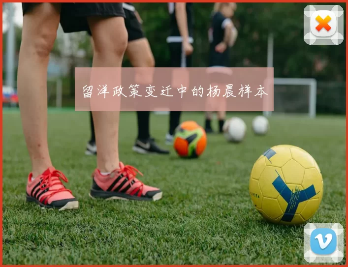 留洋政策变迁中的杨晨样本